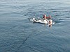 img_0143.jpg